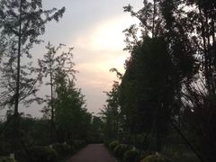 -白鹭湾湿地公园