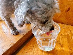 -fishtank鱼缸咖啡(三山街店)