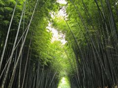 -同里国家湿地公园