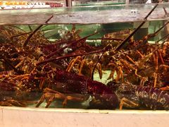 -白金汉爵大酒店(相城店)