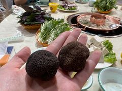 -藏味八珍特色火锅