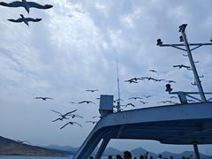 -海驴岛(荣成市)