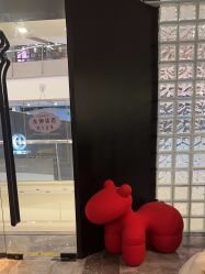-玛莲朵·海菲秀冰珀科