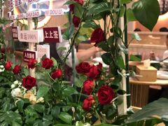 -云海肴·汽锅鸡·云南菜(广安门天虹店)