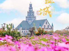 -荷兰花海