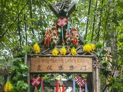 -西双版纳原始森林公园