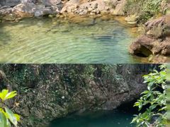 -南海湾森林生态园
