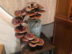 -茗鼎汇(星方汇广场店)