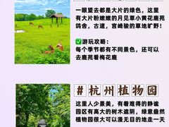 -良渚古城遗址公园