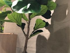 -卡朋西餐(悦汇城店)