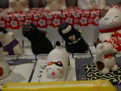 -猫的天空之城概念书店(丽江古城饮玉巷店)
