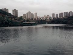 -重庆彩云湖湿地公园