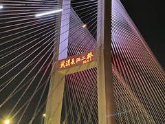 -武汉知音号