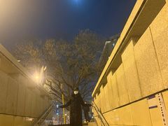 -将太无二·北美传奇寿司(瑞士公寓店)