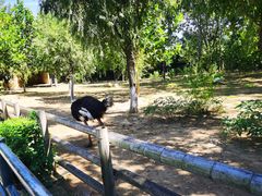 -大连森林动物园