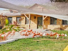 -哈尔滨北方森林动物园