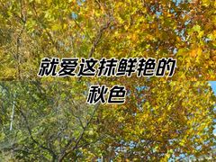 -天津二七二医院