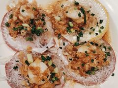 扇贝-新梅华餐厅(星悦汇店)