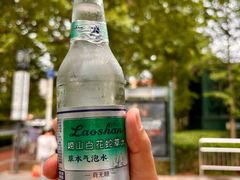 -八大关景区