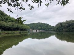 -李小龙乐园(顺德均安店)
