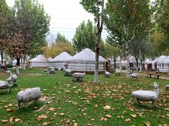 -九十九顶毡房(阜石路店)