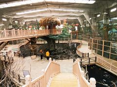 -南宫五洲植物乐园