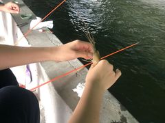 -会江钓鱼钓虾烧烤场