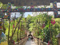 -西双版纳原始森林公园
