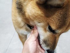 -NOTBAD 须时·咖啡馆