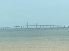 -彩丰楼中餐厅·仁恒洲际酒店