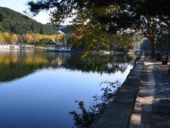-庐山风景区花径公园