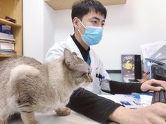 -中农大我爱我爱动物医院·核磁CT·猫病·24小时夜诊中心(石佛营店)