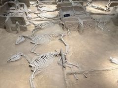 -洛阳周王城天子驾六博物馆