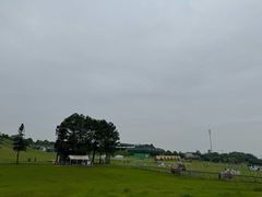 -衢州飞鸿滑草场