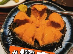 海胆-桂马·日本料理·海胆·海鲜饭·酒场(民主广场店)