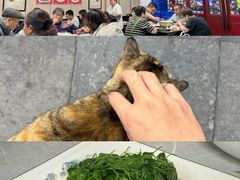 -协和菜馆(凤凰街店)