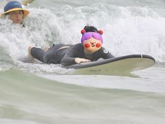 -西涌国际滨海旅游区