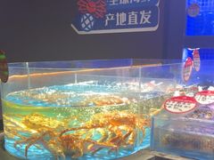 -徐记海鲜(大雁塔|金都店)