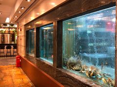 -海逸海鲜酒家(古北店)