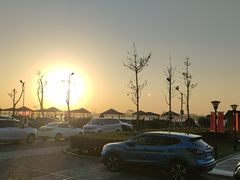 -南汇嘴观海公园