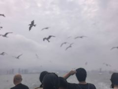 -刘公岛景区