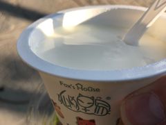 原味手工酸奶酪-狐狸家·酸奶酪专门店(平江路店)
