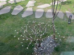 -云禾壹海景庄园餐厅