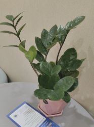 -重庆联合丽格美容医院