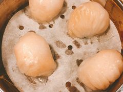 -点点心点心专门店(旺角店)