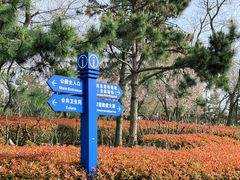 -燕儿岛山公园