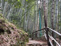 -四明山国家森林公园
