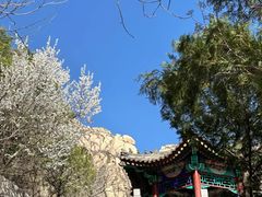 -北京凤凰岭