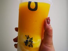 -春丽小马(济南恒隆广场店)
