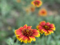 -北运河水利风景区